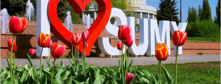 Купить семена конопли в Сумах