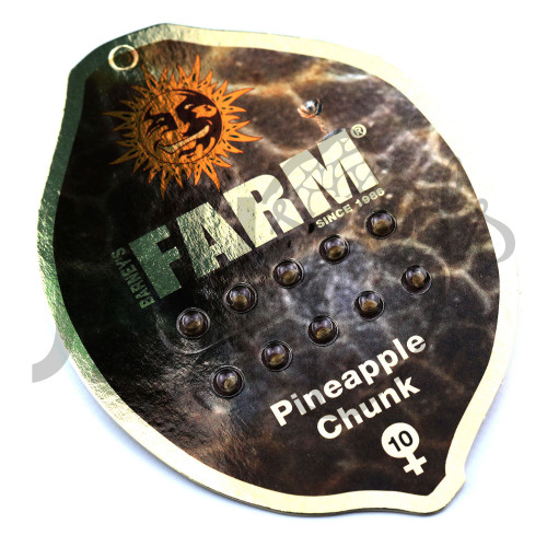 Pineapple Chunk Feminised насіння конопель: фото, характеристики, відгуки, опис Pineapple Chunk Feminised насіння конопель: фото, характеристики, відгуки, опис
