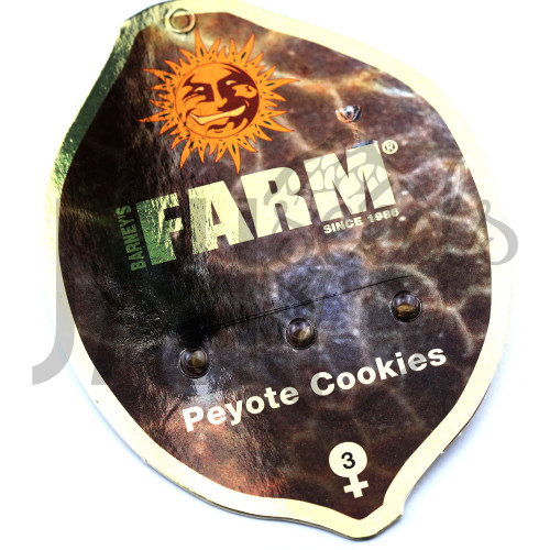 Peyote Cookies Feminised насіння конопель: фото, характеристики, відгуки, опис Peyote Cookies Feminised насіння конопель: фото, характеристики, відгуки, опис