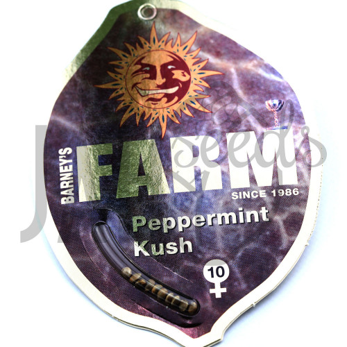 Peppermint Kush Feminised насіння конопель: фото, характеристики, відгуки, опис Peppermint Kush Feminised насіння конопель: фото, характеристики, відгуки, опис