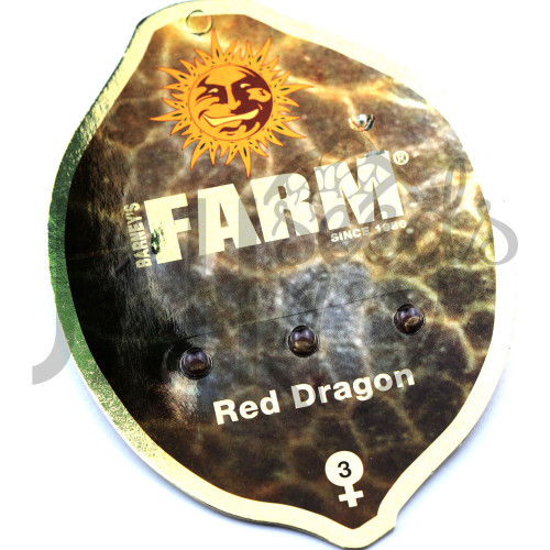 Red Dragon Feminised насіння конопель: фото, характеристики, відгуки, опис
