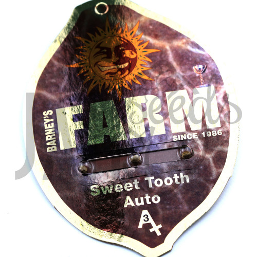 Auto Sweet Tooth Feminised насіння конопель: фото, характеристики, відгуки, опис Auto Sweet Tooth Feminised насіння конопель: фото, характеристики, відгуки, опис