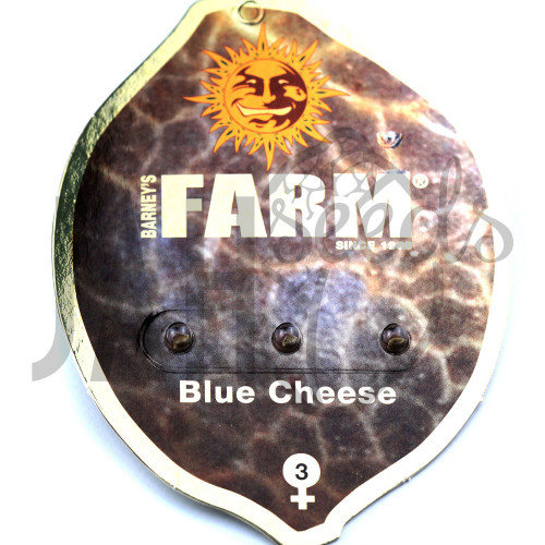 Blue Cheese Feminised семена конопли: фото, характеристики, отзывы, описание
