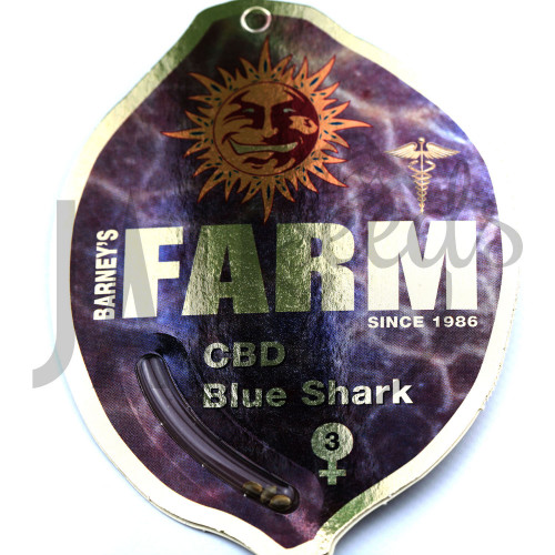 CBD Blue Shark Feminised насіння конопель: фото, характеристики, відгуки, опис