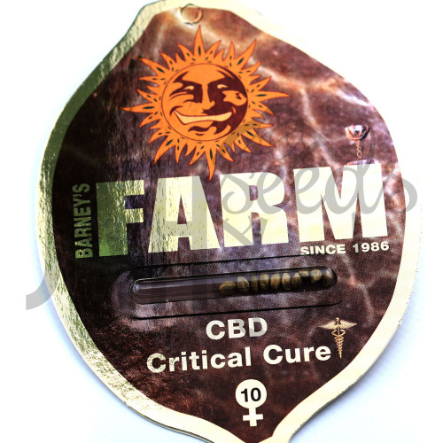 CBD Critical Cure Feminised насіння конопель: фото, характеристики, відгуки, опис