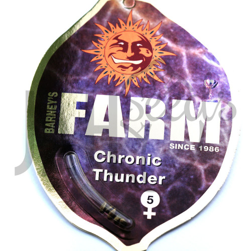 Chronic Thunder Feminised насіння конопель: фото, характеристики, відгуки, опис Chronic Thunder Feminised насіння конопель: фото, характеристики, відгуки, опис