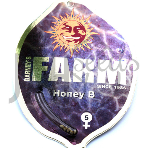 Honey B Feminised насіння конопель: фото, характеристики, відгуки, опис