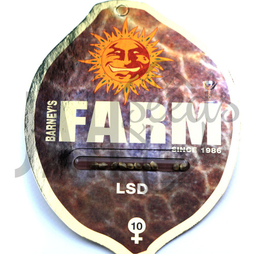 LSD Feminised насіння конопель: фото, характеристики, відгуки, опис