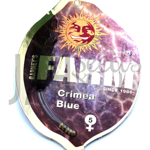 Crimea Blue Feminised семена конопли: фото, характеристики, отзывы, описание