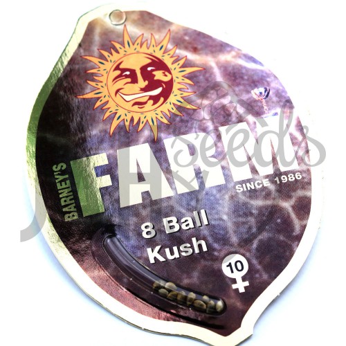 8 Ball Kush Feminised семена конопли: фото, характеристики, отзывы, описание 8 Ball Kush Feminised семена конопли: фото, характеристики, отзывы, описание