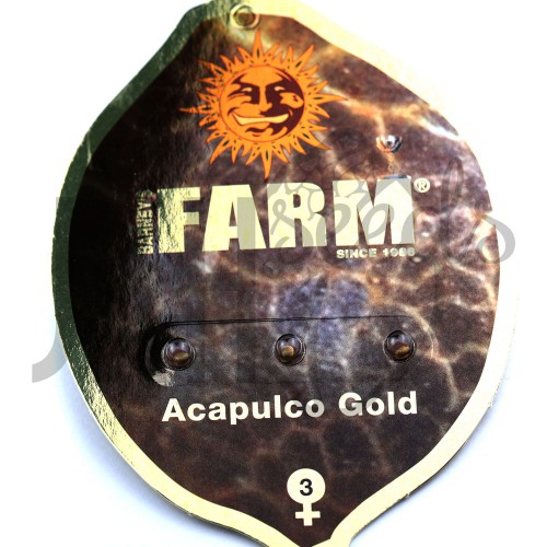 Acapulco Gold Feminised насіння конопель: фото, характеристики, відгуки, опис