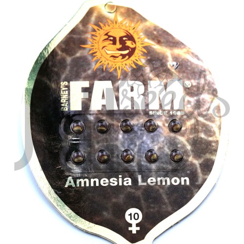 Amnesia Lemon Feminised насіння конопель: фото, характеристики, відгуки, опис Amnesia Lemon Feminised насіння конопель: фото, характеристики, відгуки, опис