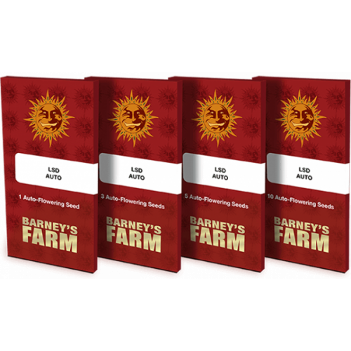 Auto LSD Feminised насіння конопель: фото, характеристики, відгуки, опис