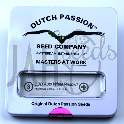CBD Auto White Widow feminised семена конопли: фото, характеристики, отзывы, описание