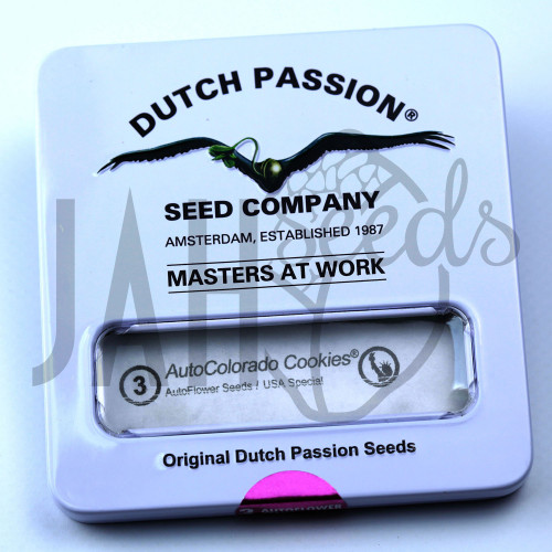 Auto Colorado Cookies feminised семена конопли: фото, характеристики, отзывы, описание