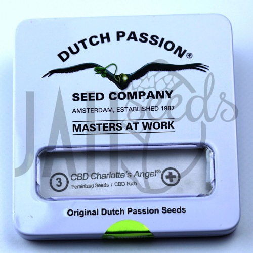 CBD Charlotte’s Angel feminised семена конопли: фото, характеристики, отзывы, описание