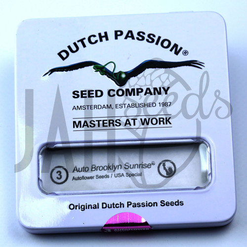 Auto Brooklyn Sunrise feminised насіння конопель: фото, характеристики, відгуки, опис