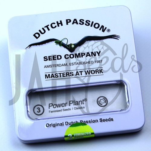 Power Plant feminised семена конопли: фото, характеристики, отзывы, описание
