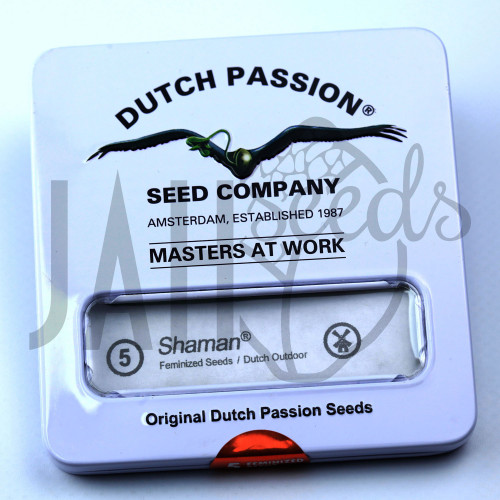 Shaman Feminised насіння конопель: фото, характеристики, відгуки, опис