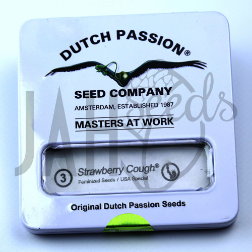 Strawberry Cough Feminised насіння конопель: фото, характеристики, відгуки, опис
