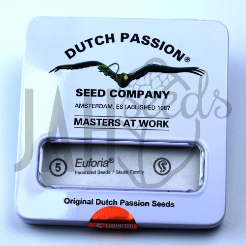 Euforia Feminised насіння конопель: фото, характеристики, відгуки, опис