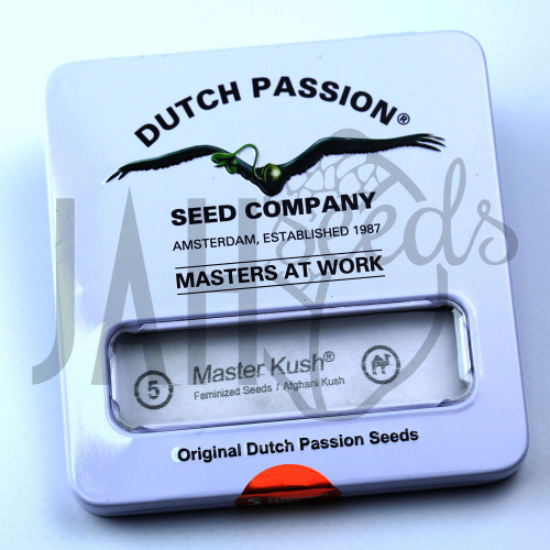 Master Kush Feminised семена конопли: фото, характеристики, отзывы, описание