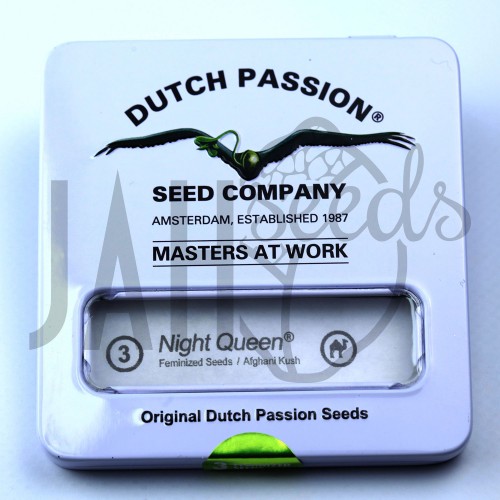 Night Queen Feminised семена конопли: фото, характеристики, отзывы, описание