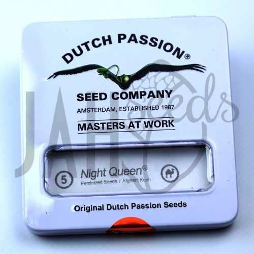 Night Queen Feminised семена конопли: фото, характеристики, отзывы, описание