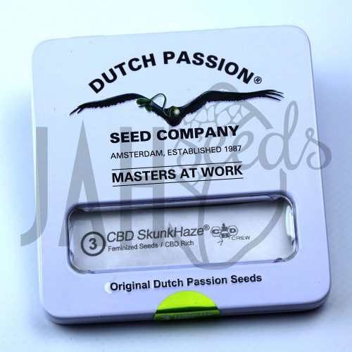 CBD Skunk Haze feminised семена конопли: фото, характеристики, отзывы, описание CBD Skunk Haze feminised семена конопли: фото, характеристики, отзывы, описание