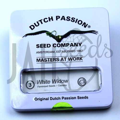 White Widow feminised семена конопли: фото, характеристики, отзывы, описание