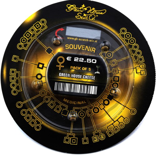 GH Cheese Feminised семена конопли: фото, характеристики, отзывы, описание GH Cheese Feminised семена конопли: фото, характеристики, отзывы, описание