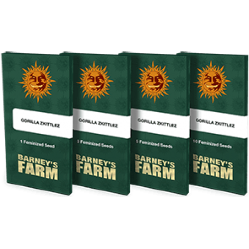 Gorilla Zkittlez™ Feminised семена конопли: фото, характеристики, отзывы, описание