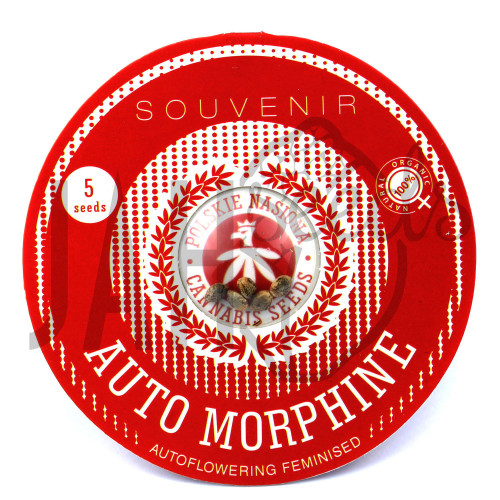AUTO MORPHINE FEMINISED насіння конопель: фото, характеристики, відгуки, опис