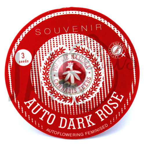 AUTO DARK ROSE FEMINISED насіння конопель: фото, характеристики, відгуки, опис AUTO DARK ROSE FEMINISED насіння конопель: фото, характеристики, відгуки, опис