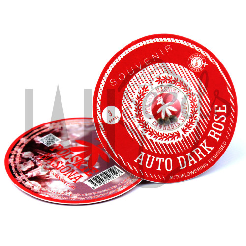 AUTO DARK ROSE FEMINISED насіння конопель: фото, характеристики, відгуки, опис AUTO DARK ROSE FEMINISED насіння конопель: фото, характеристики, відгуки, опис