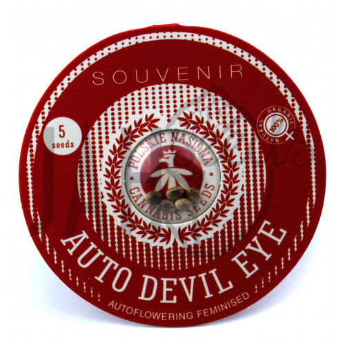 AUTO DEVIL EYE FEMINISED насіння конопель: фото, характеристики, відгуки, опис AUTO DEVIL EYE FEMINISED насіння конопель: фото, характеристики, відгуки, опис