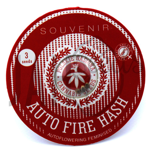 AUTO FIRE HASH FEMINISED семена конопли: фото, характеристики, отзывы, описание AUTO FIRE HASH FEMINISED семена конопли: фото, характеристики, отзывы, описание