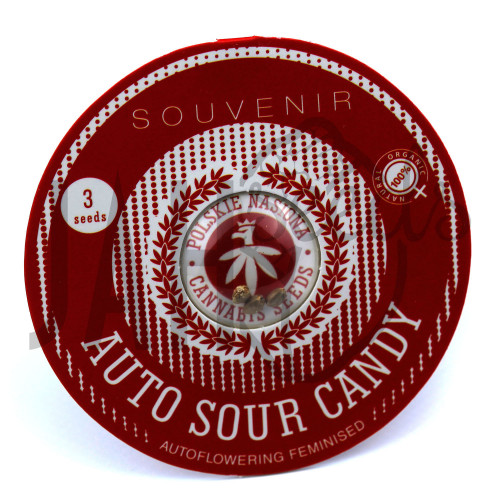 AUTO SOUR CANDY FEMINISED насіння конопель: фото, характеристики, відгуки, опис