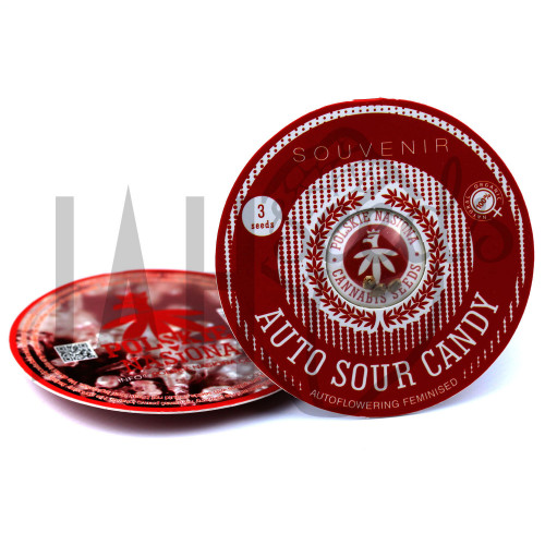 AUTO SOUR CANDY FEMINISED насіння конопель: фото, характеристики, відгуки, опис