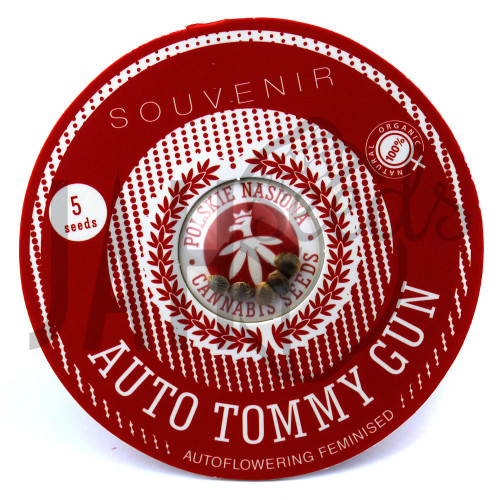 AUTO TOMMY GUN FEMINISED насіння конопель: фото, характеристики, відгуки, опис
