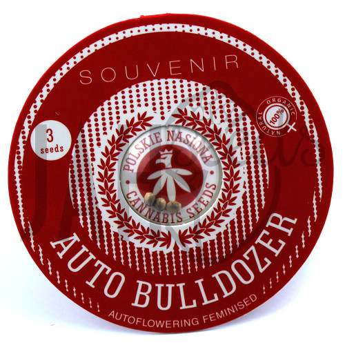 AUTO BULLDOZER FEMINISED семена конопли: фото, характеристики, отзывы, описание