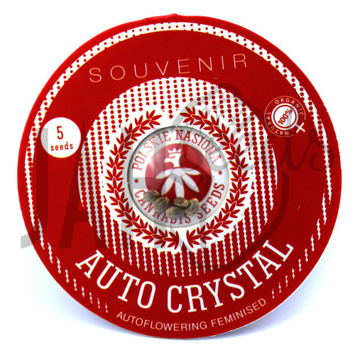 AUTO CRYSTAL FEMINISED семена конопли: фото, характеристики, отзывы, описание AUTO CRYSTAL FEMINISED семена конопли: фото, характеристики, отзывы, описание
