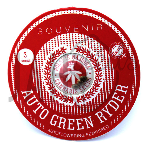AUTO GREEN RYDER FEMINISED семена конопли: фото, характеристики, отзывы, описание