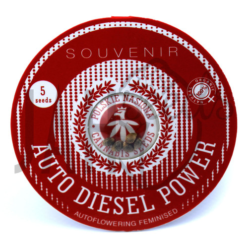 AUTO DIESEL POWER FEMINISED семена конопли: фото, характеристики, отзывы, описание