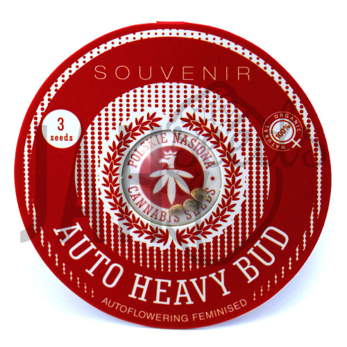 AUTO HEAVY BUD FEMINISED семена конопли: фото, характеристики, отзывы, описание