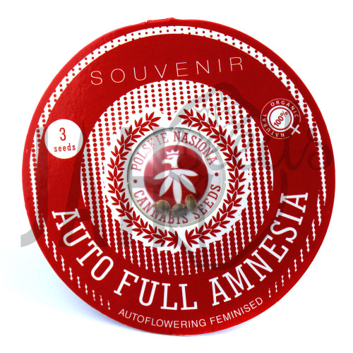 AUTO FULL AMNESIA FEMINISED насіння конопель: фото, характеристики, відгуки, опис