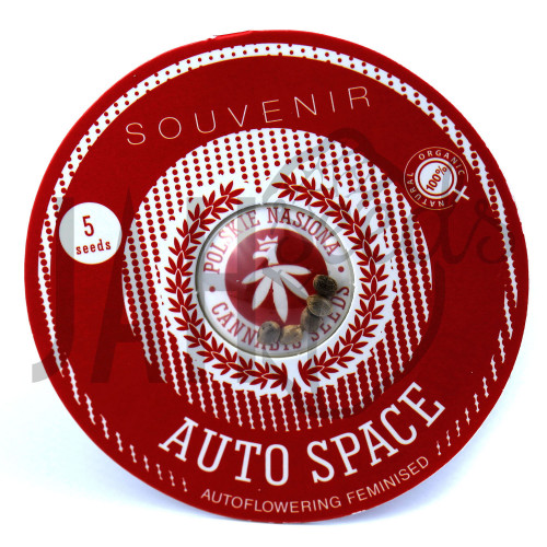 AUTO SPACE FEMINISED насіння конопель: фото, характеристики, відгуки, опис