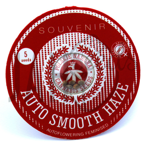AUTO SMOOTH HAZE FEMINISED насіння конопель: фото, характеристики, відгуки, опис