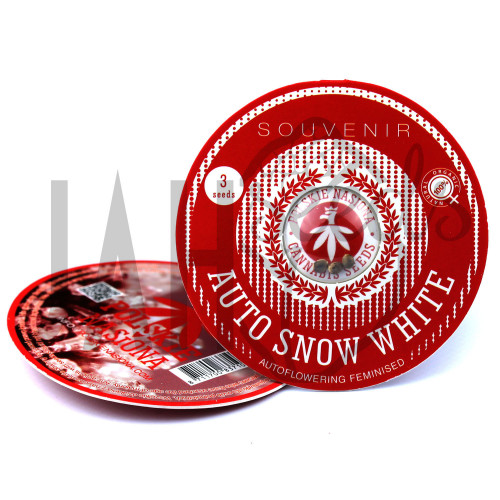 AUTO SNOW WHITE FEMINISED насіння конопель: фото, характеристики, відгуки, опис