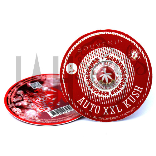 AUTO XXL KUSH FEMINISED насіння конопель: фото, характеристики, відгуки, опис AUTO XXL KUSH FEMINISED насіння конопель: фото, характеристики, відгуки, опис
